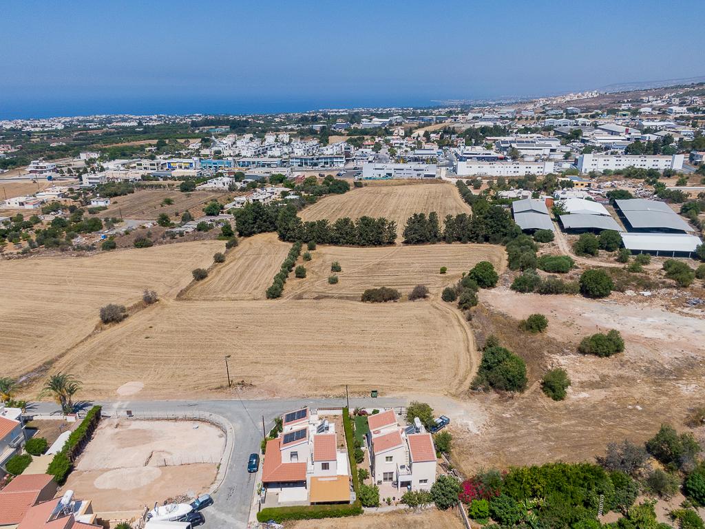 Field - Mesogi, Paphos
