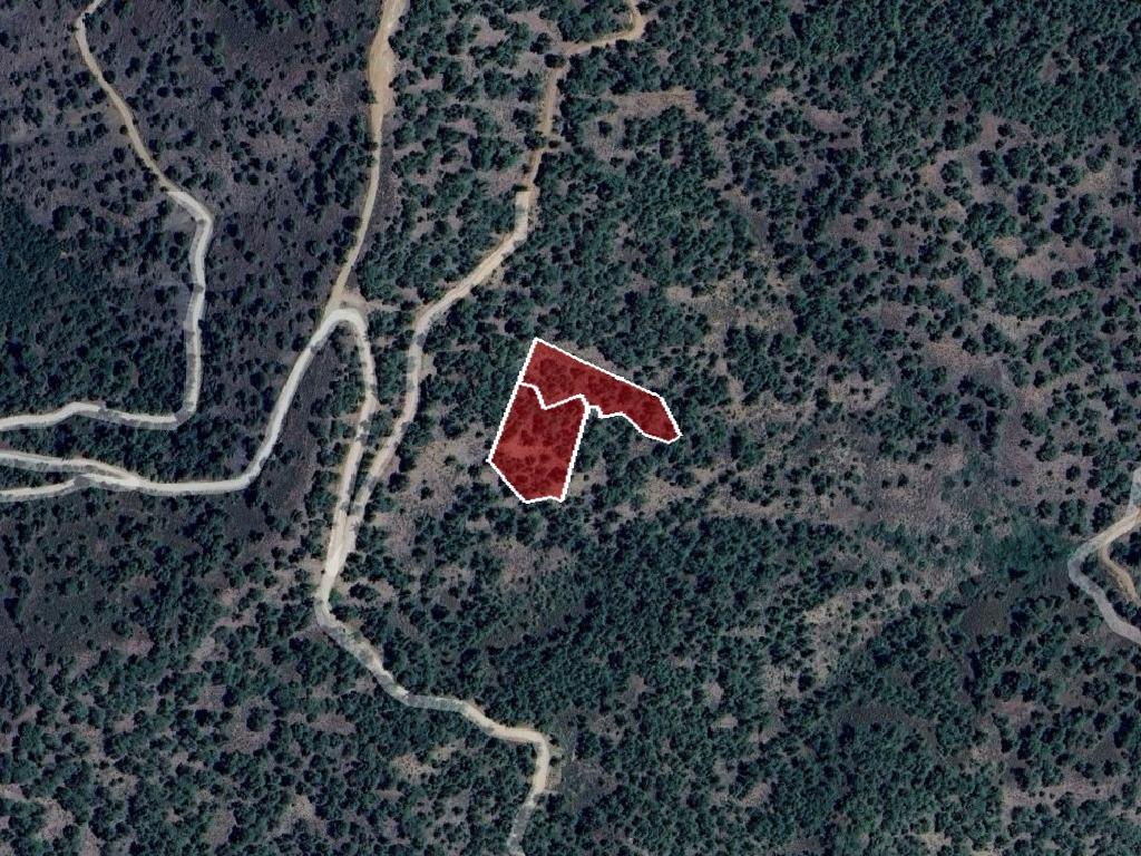 Field-Platanistasa-CP10240