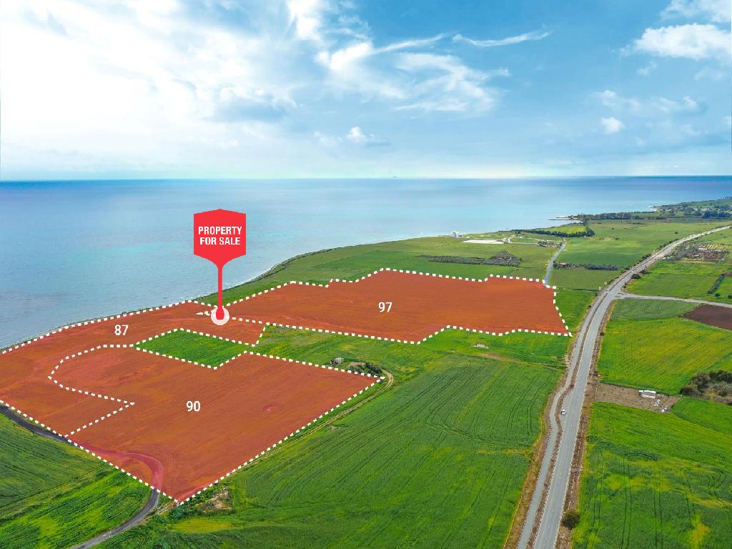 Field-Softades-PR45892