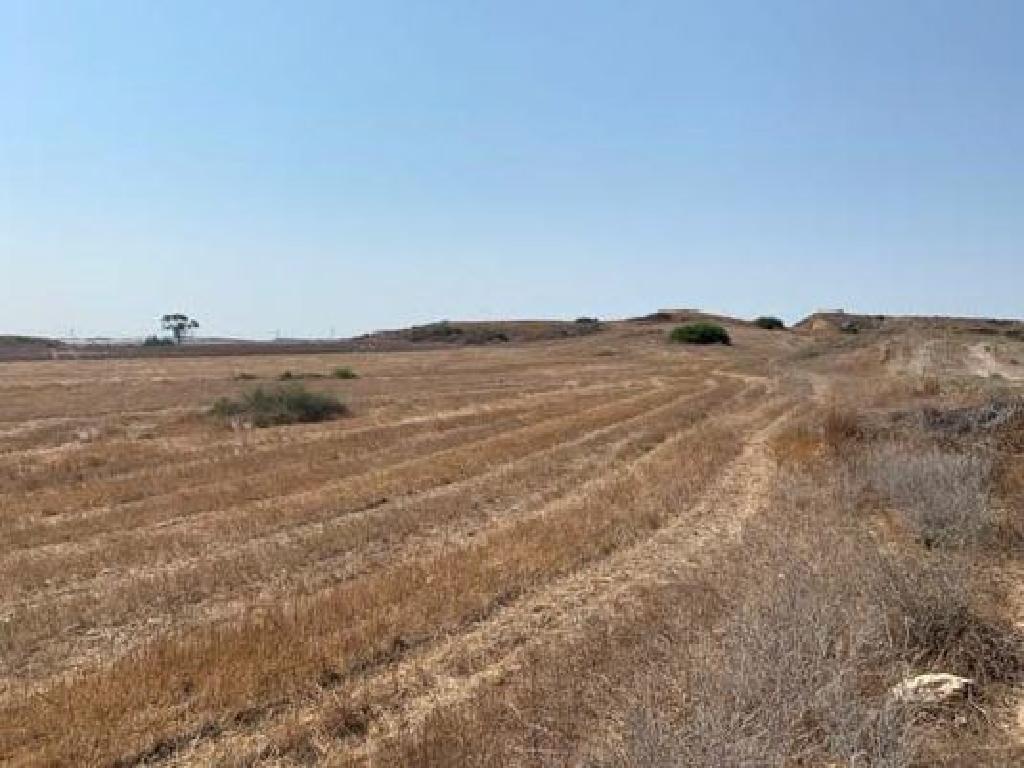 Field (Share) - Tseri, Nicosia