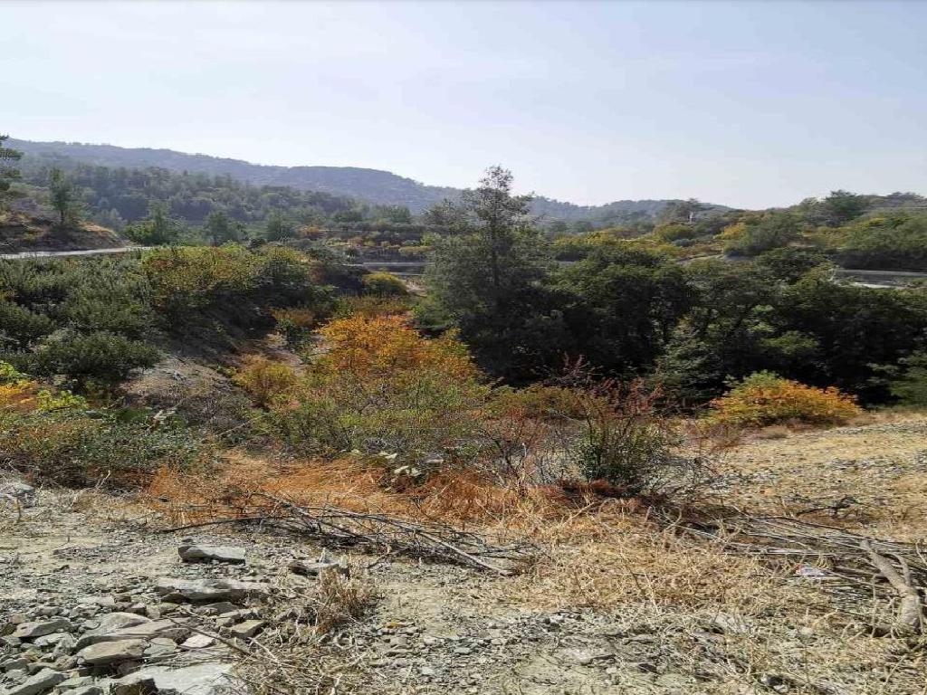 Field-Kato Mylos-PR36177
