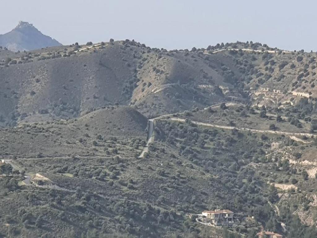 Field-Psevdas-PR36832