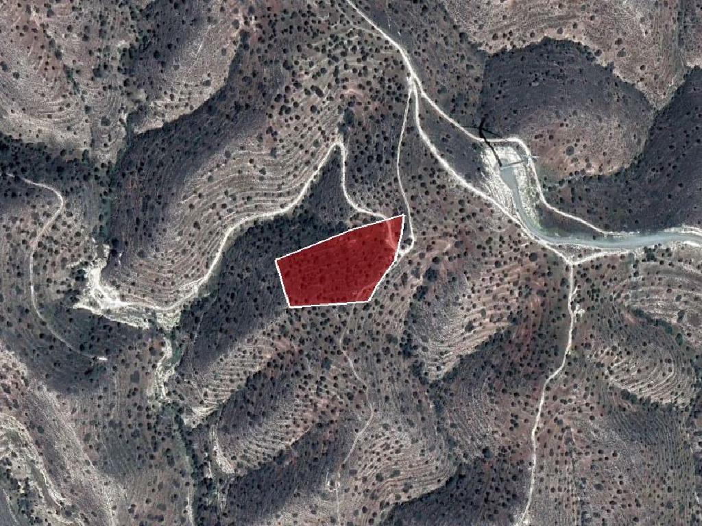 Field-Psevdas-PR36832