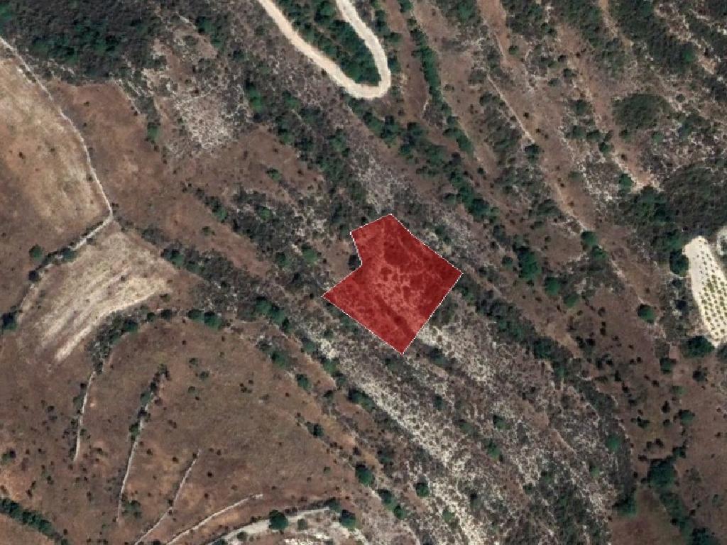 Field-Vouni-PR36923