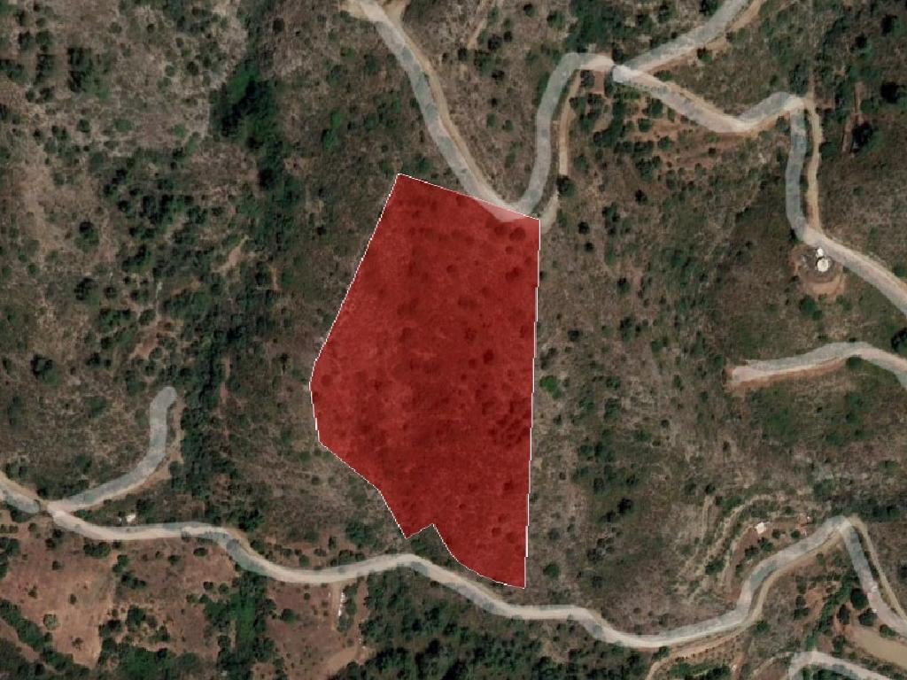 Field-Melini-PR36895