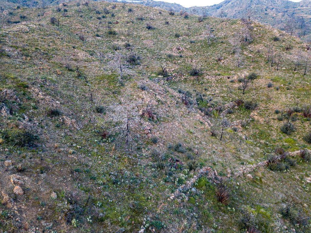 Field-Melini-PR36895
