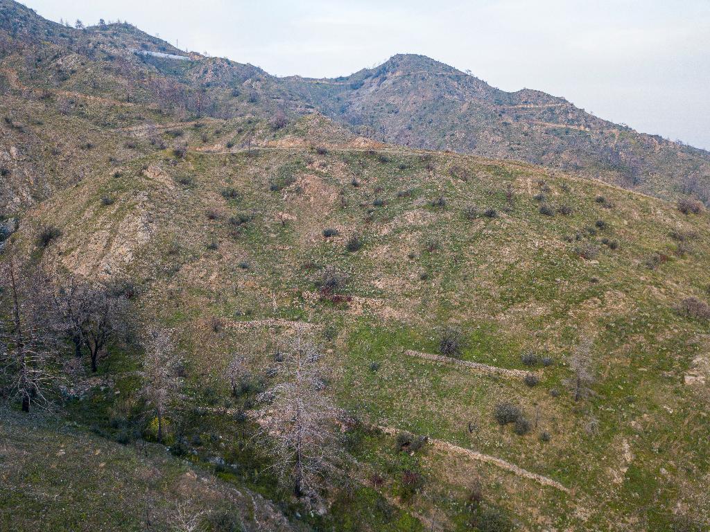 Field-Melini-PR36895