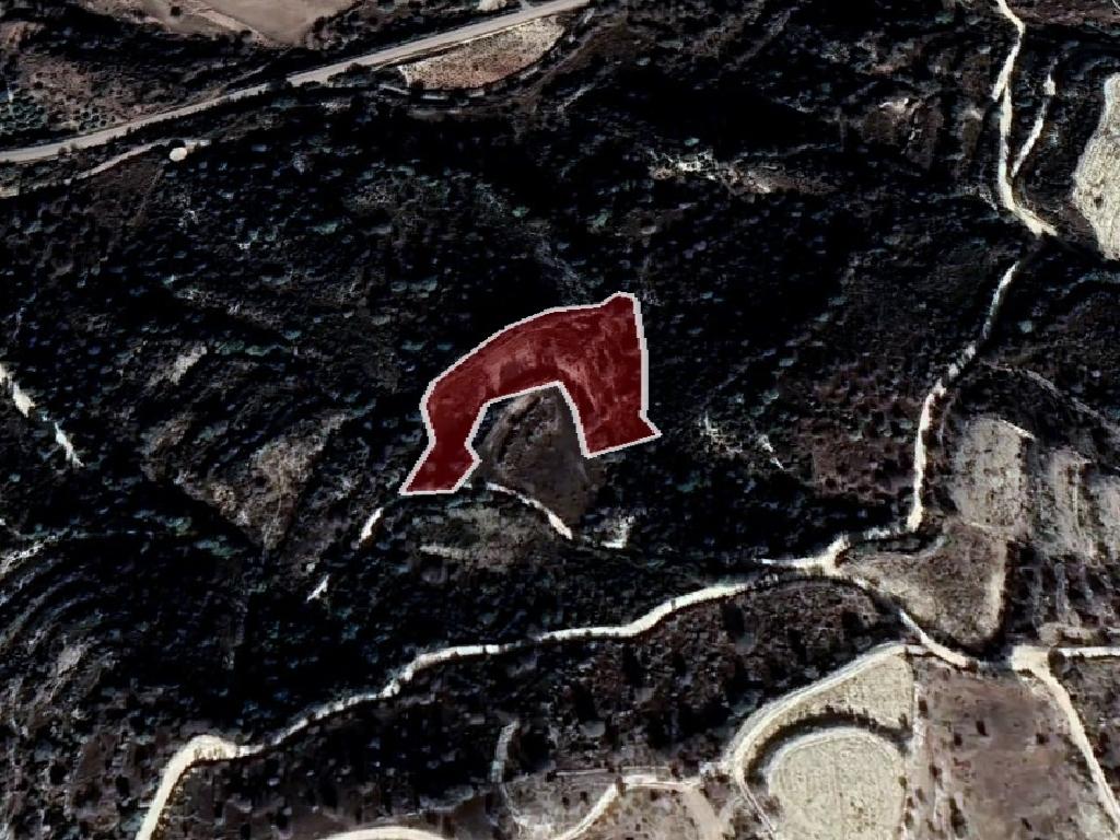 Field-Kelokedara-PR37962