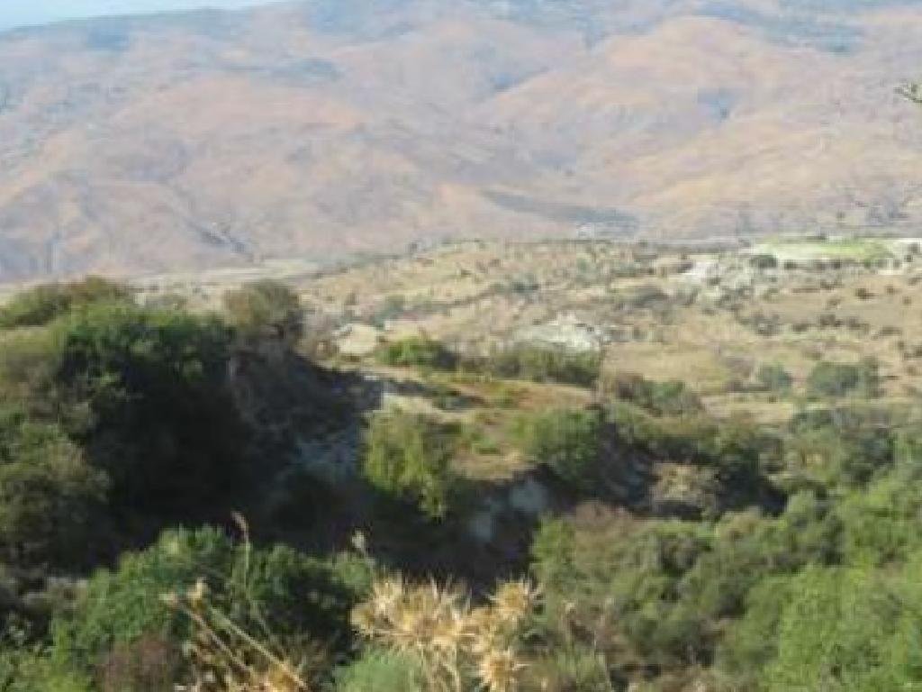 Field-Kelokedara-PR37962
