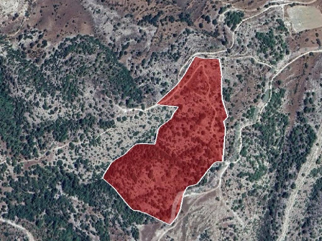 Field-Amargeti-PR38360