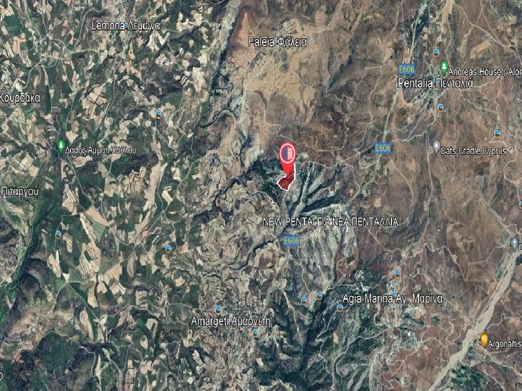 Field-Amargeti-PR38360