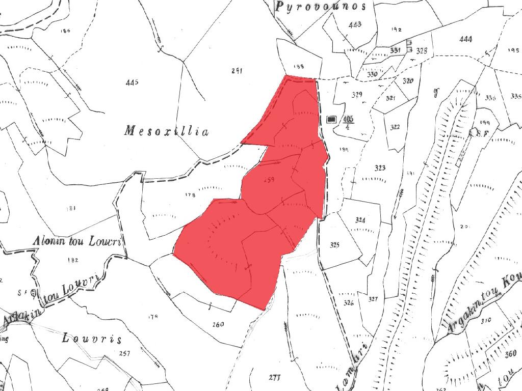 Field-Amargeti-PR38360