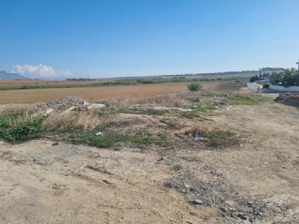 Field-Nicosia Municipality-PR38591