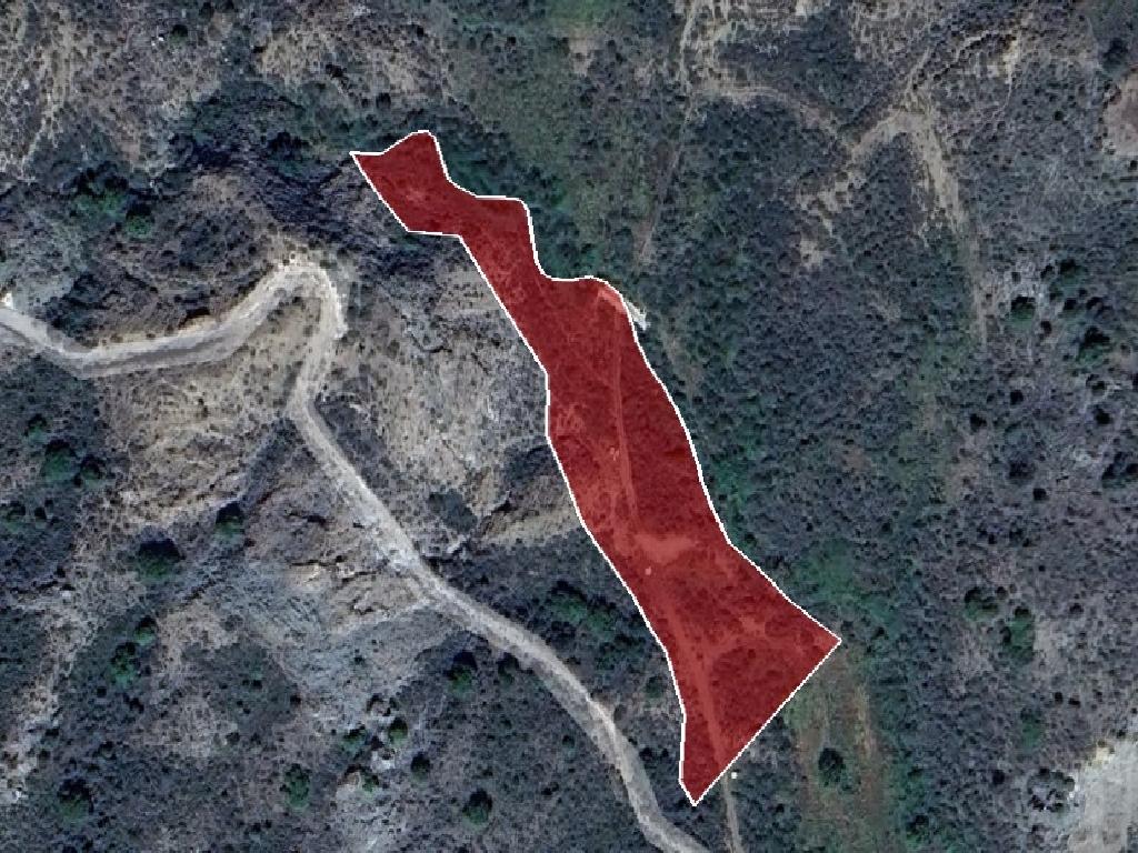Field-Marathounta-PR38716