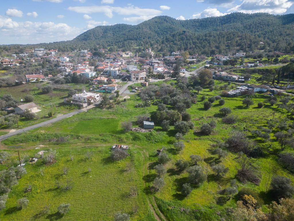 Field-Kalo Chorio (Oreinis)-PR39021