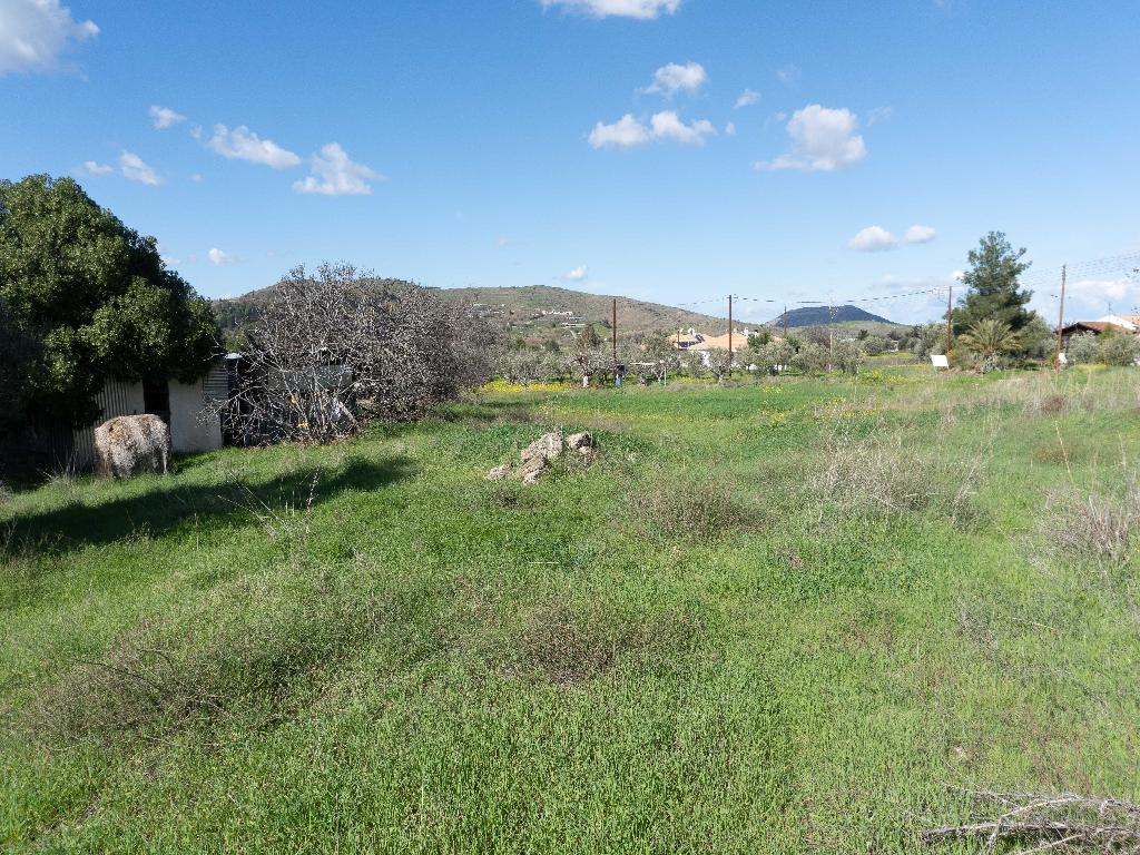 Field-Kalo Chorio (Oreinis)-PR39021