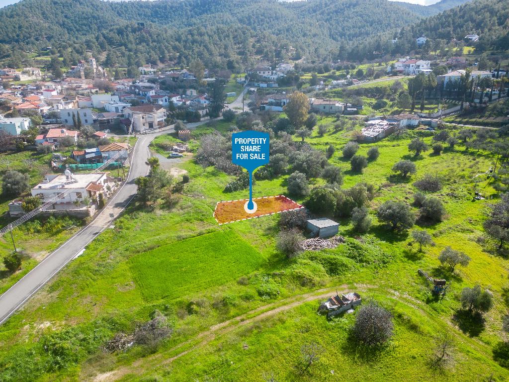 Field (Share) - Kalo Chorio (Oreinis), Nicosia