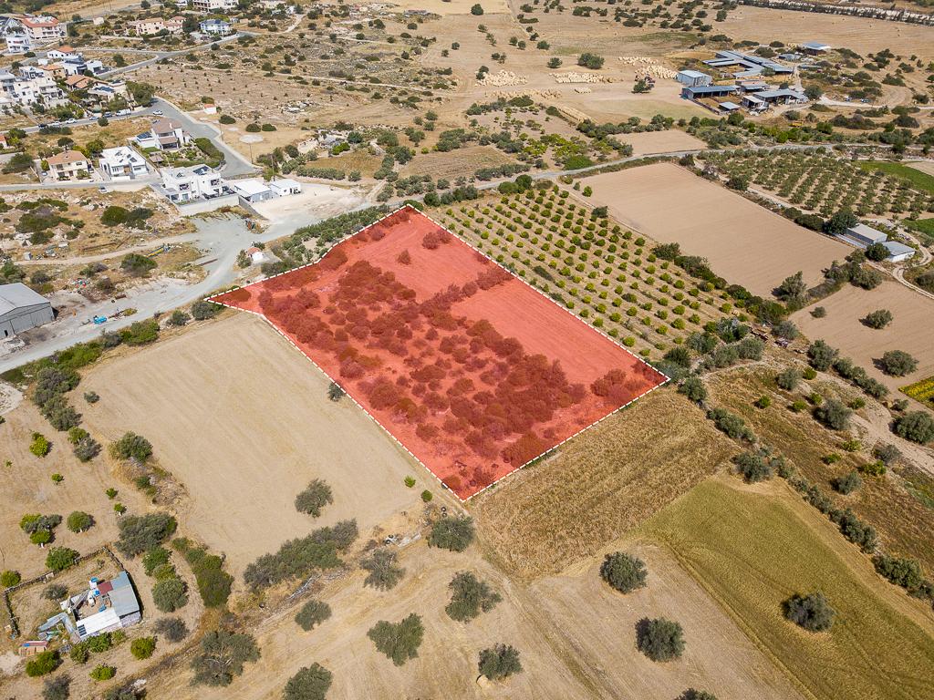 Field (Share) - Episkopi, Limassol