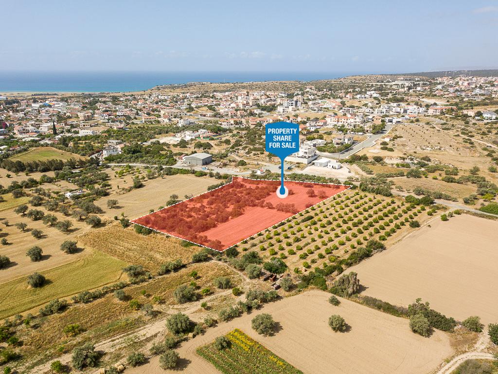 Field (Share) - Episkopi, Limassol