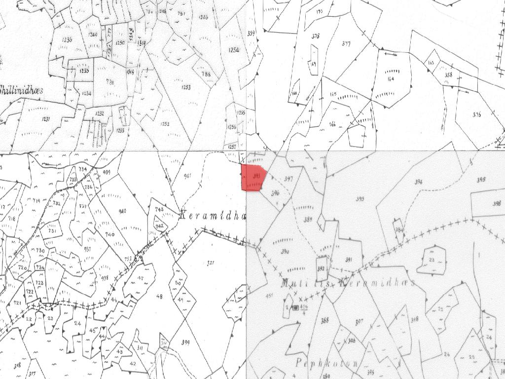 Field-Farmakas-PR40167