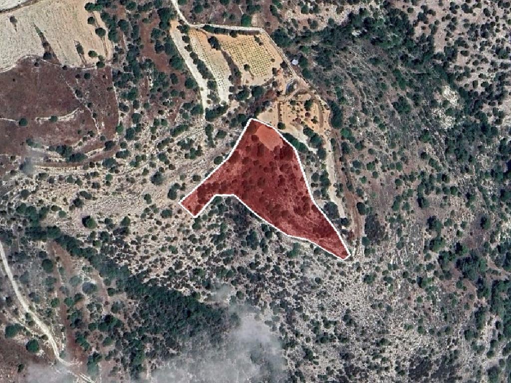 Field-Letymvou-PR40726