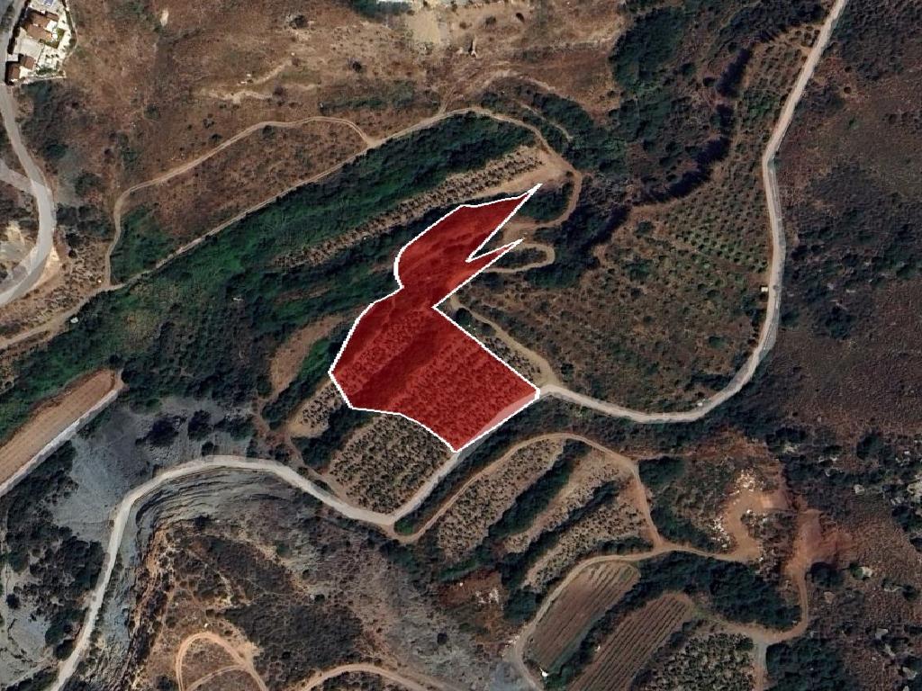 Field-Pegeia-PR41073