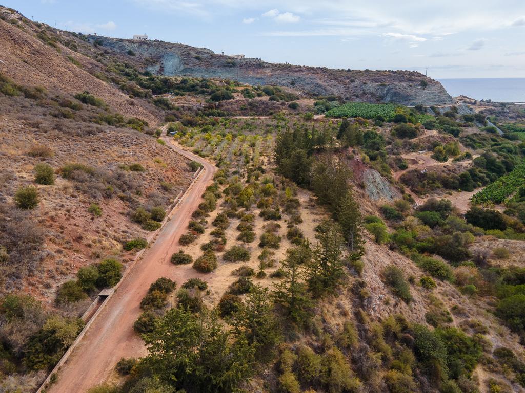 Field-Pegeia-PR41073