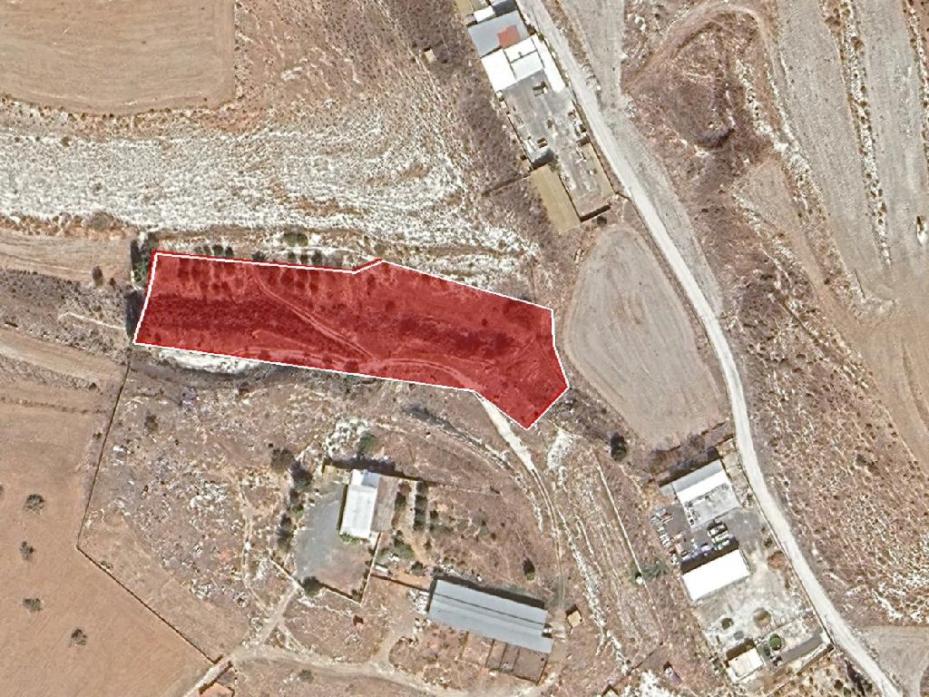Field - Aradippou, Larnaca