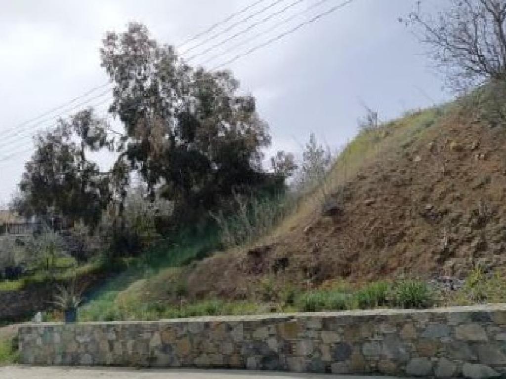 Field-Kalo Chorio-PR42440