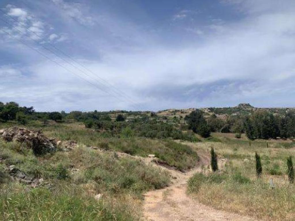 Field-Drouseia-PR42861