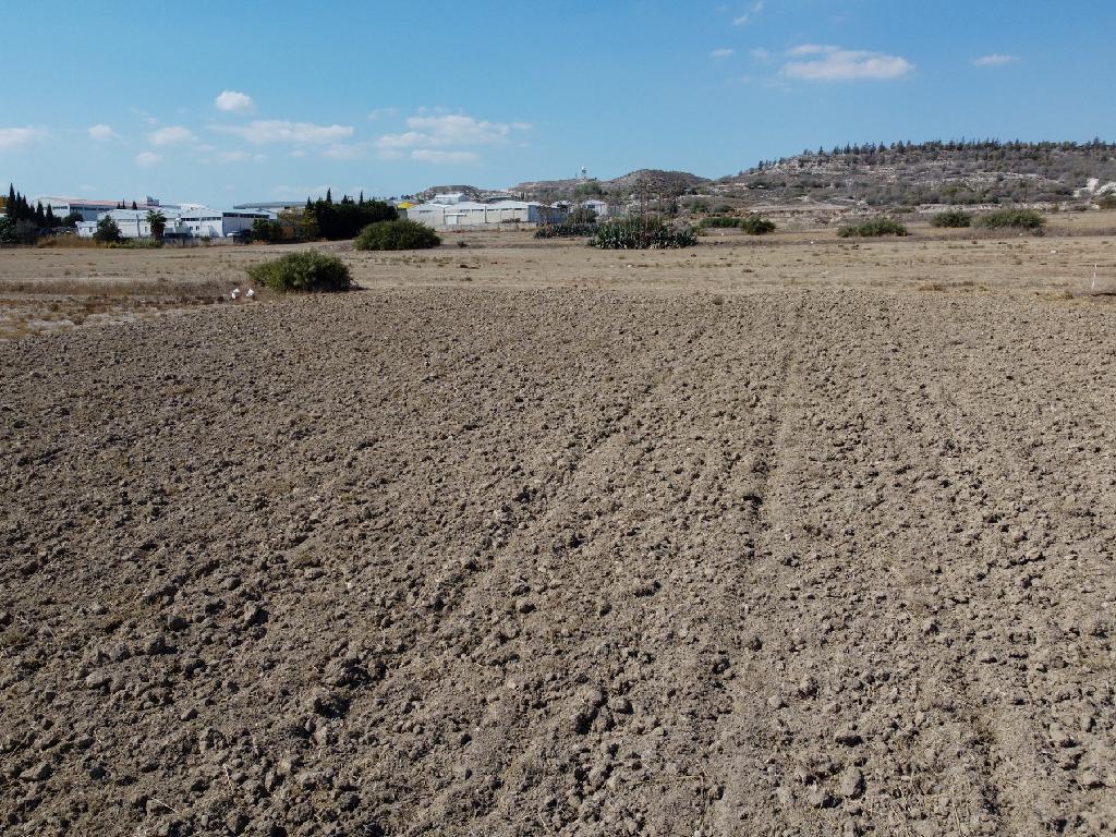 Field - Aradippou, Larnaca