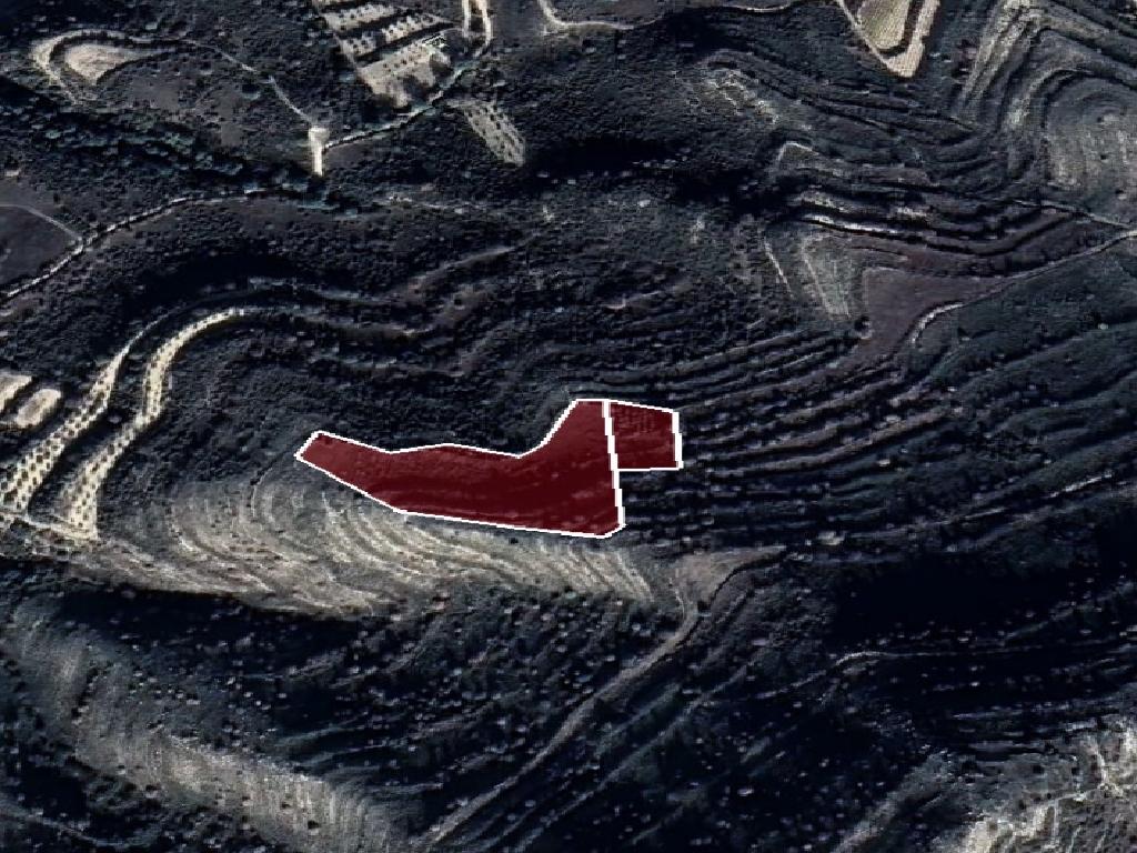 Field - Pachna, Limassol