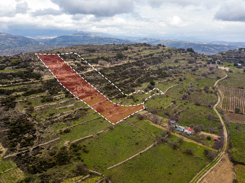 Field-Pachna-PR12419