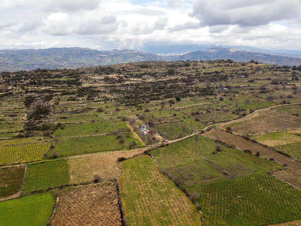 Field-Pachna-PR12419