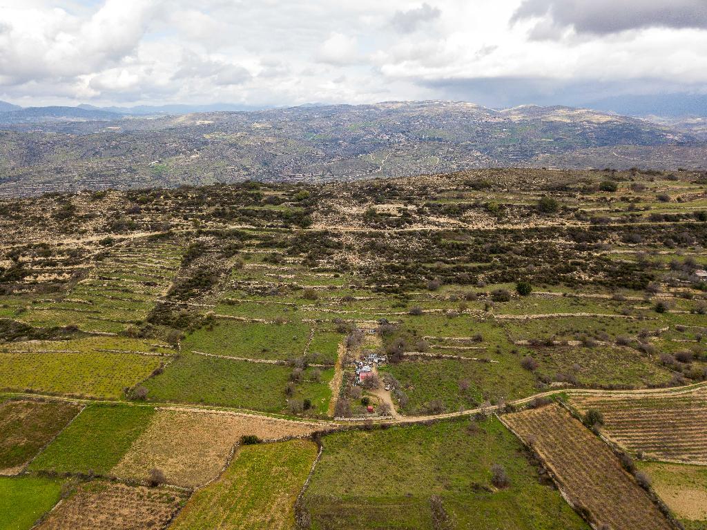 Field-Pachna-PR12419
