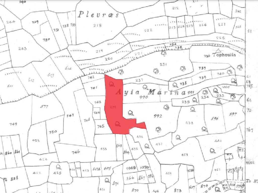Field-Pachna-PR12419