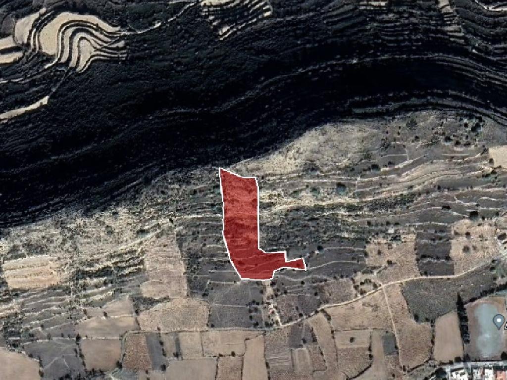 Field-Pachna-PR12419