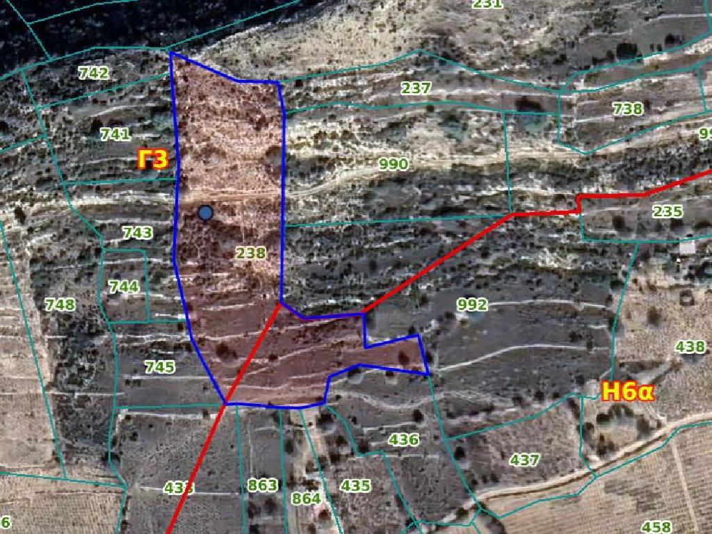 Field-Pachna-PR12419