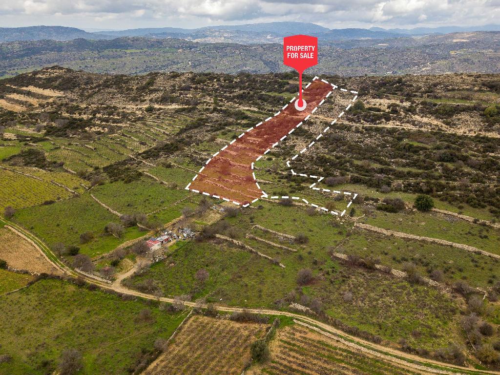 Field-Pachna-PR12419