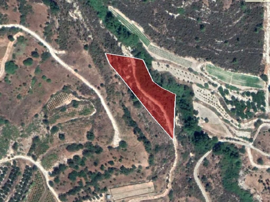 Field-Silikou-PR34631