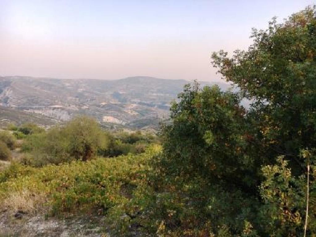 Field-Silikou-PR34631