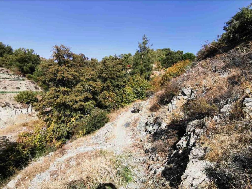Field-Kato Mylos-PR36178