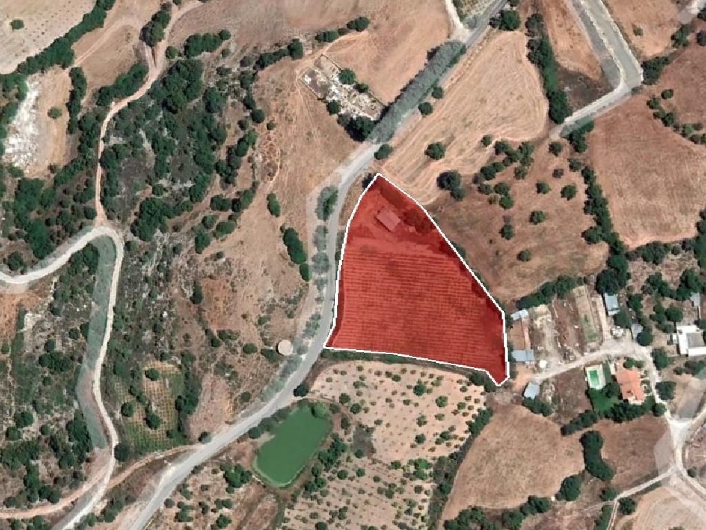 Field-Fyti-PR35974