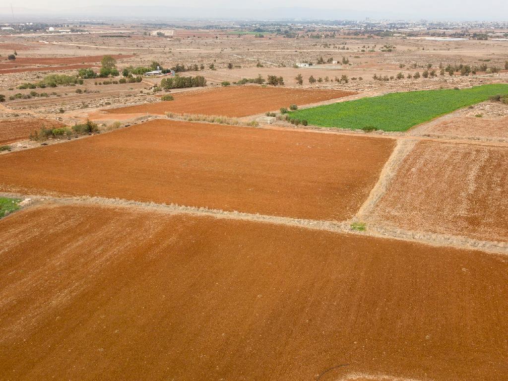 Field-Frenaros-PR34226