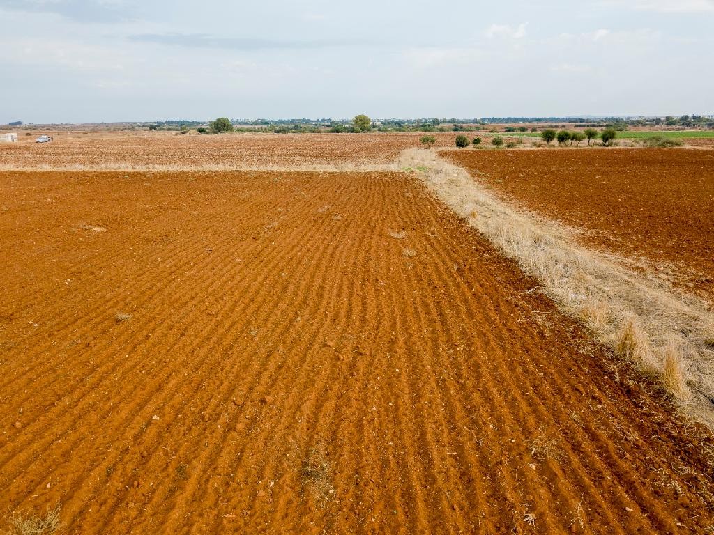 Field-Frenaros-PR34226