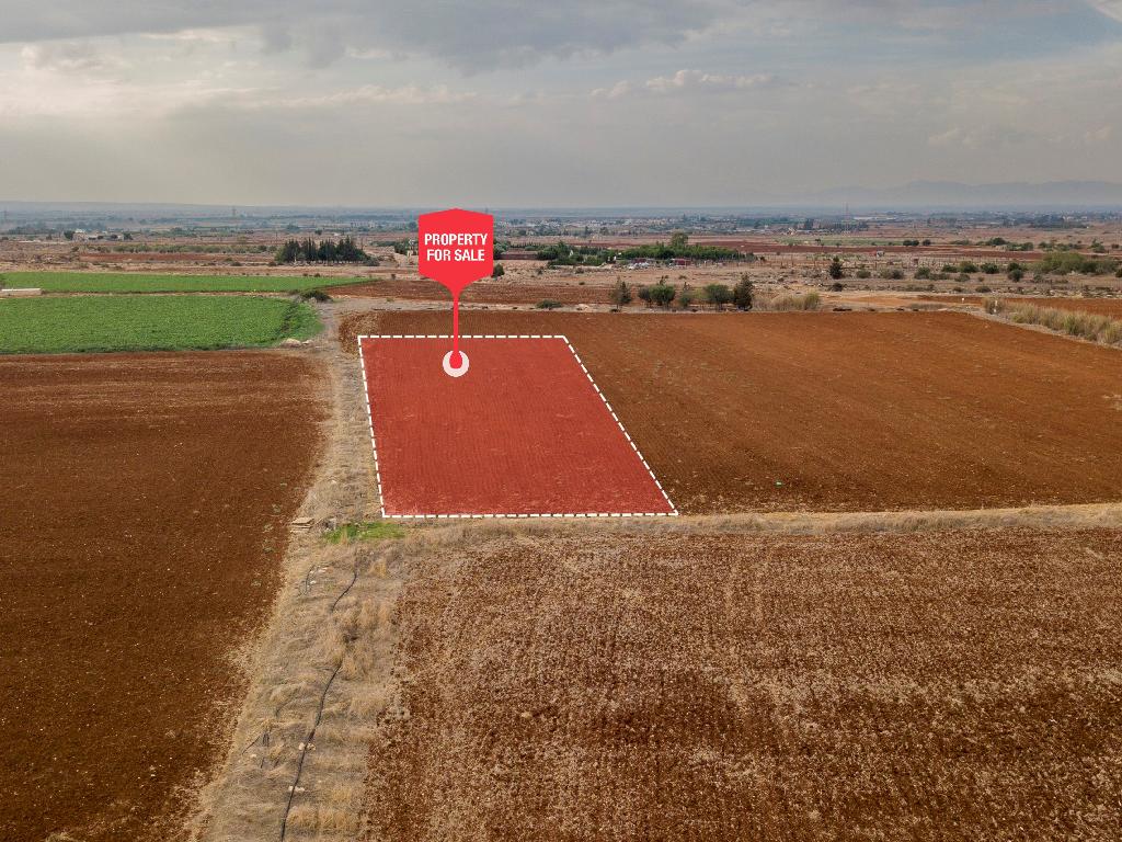Field-Frenaros-PR34226