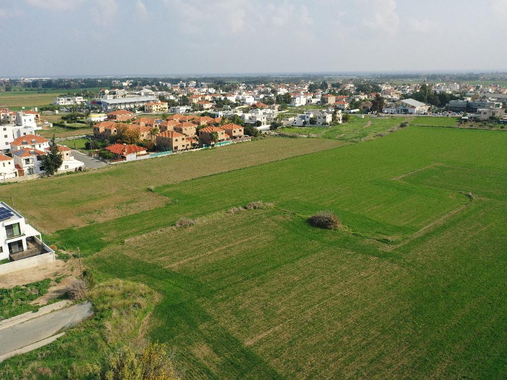 Field - Kiti, Larnaca