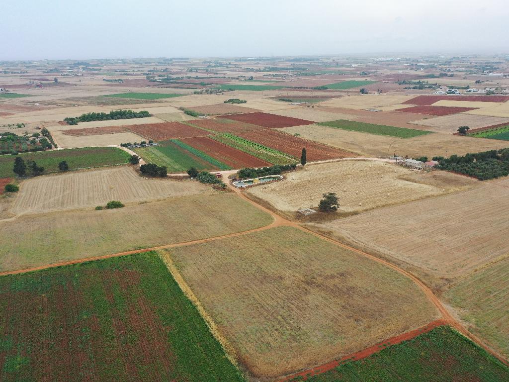 Field-Avgorou-PR37387