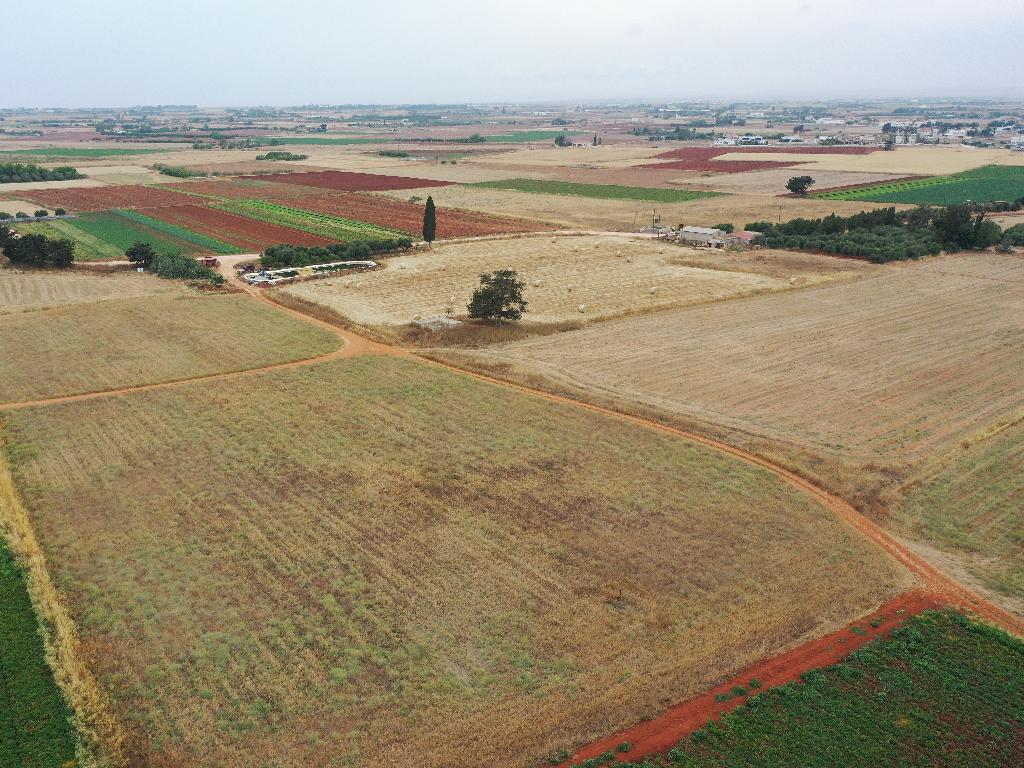 Field-Avgorou-PR37387