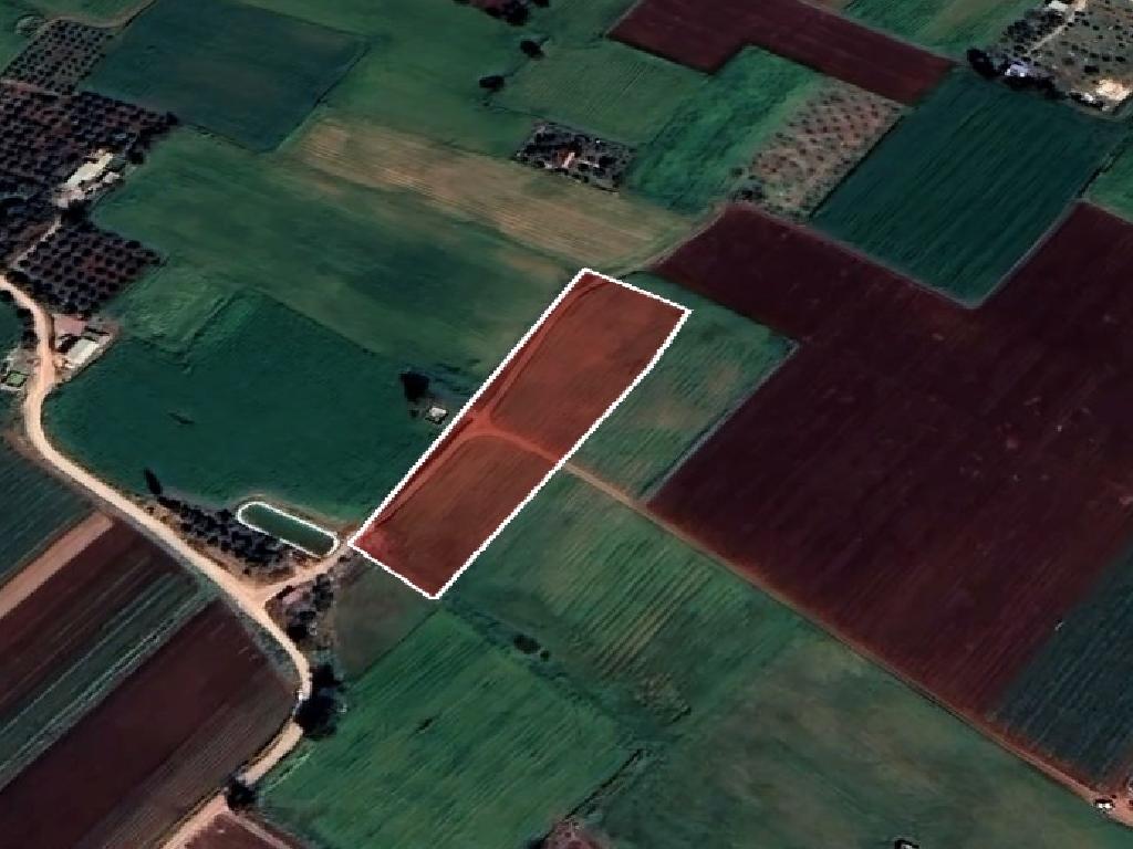 Field-Avgorou-PR37387